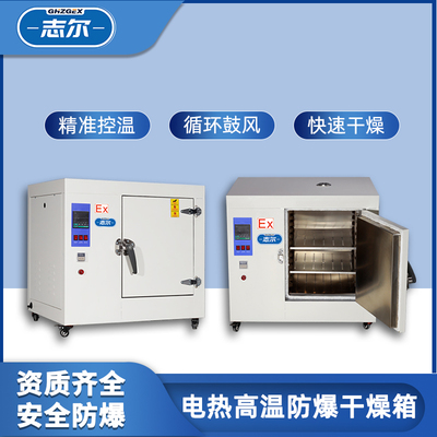 鼓风防爆干燥箱500℃系列